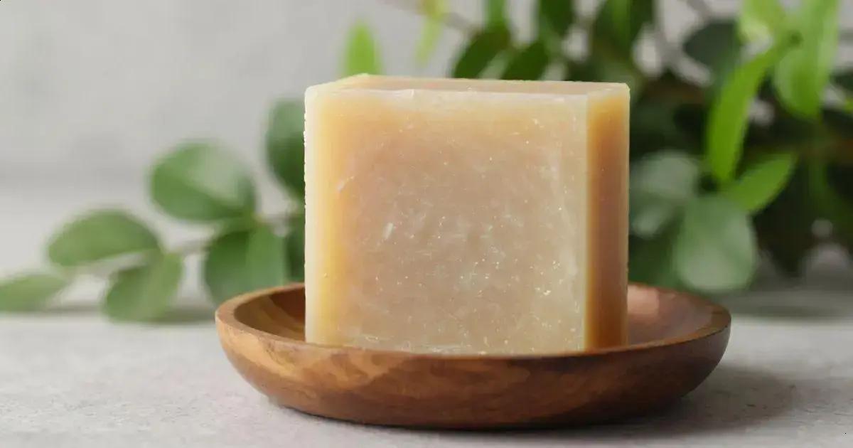 Shampoo Sólido Natural: Sustentabilidade e Eficácia na Limpeza Capilar 1 Shampoo Sólido Natural: Sustentabilidade e Eficácia na Limpeza Capilar